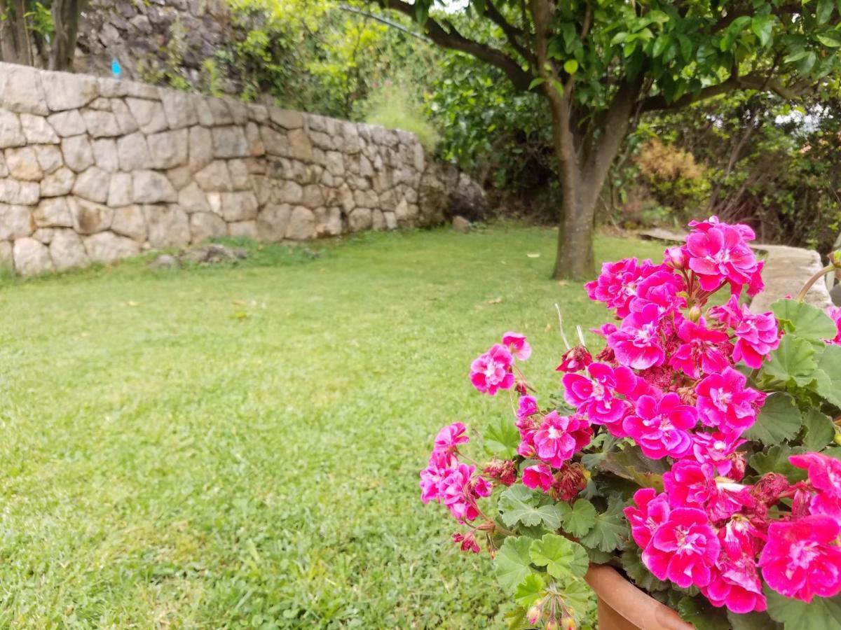 Marivo Guest House Molunat Exterior foto