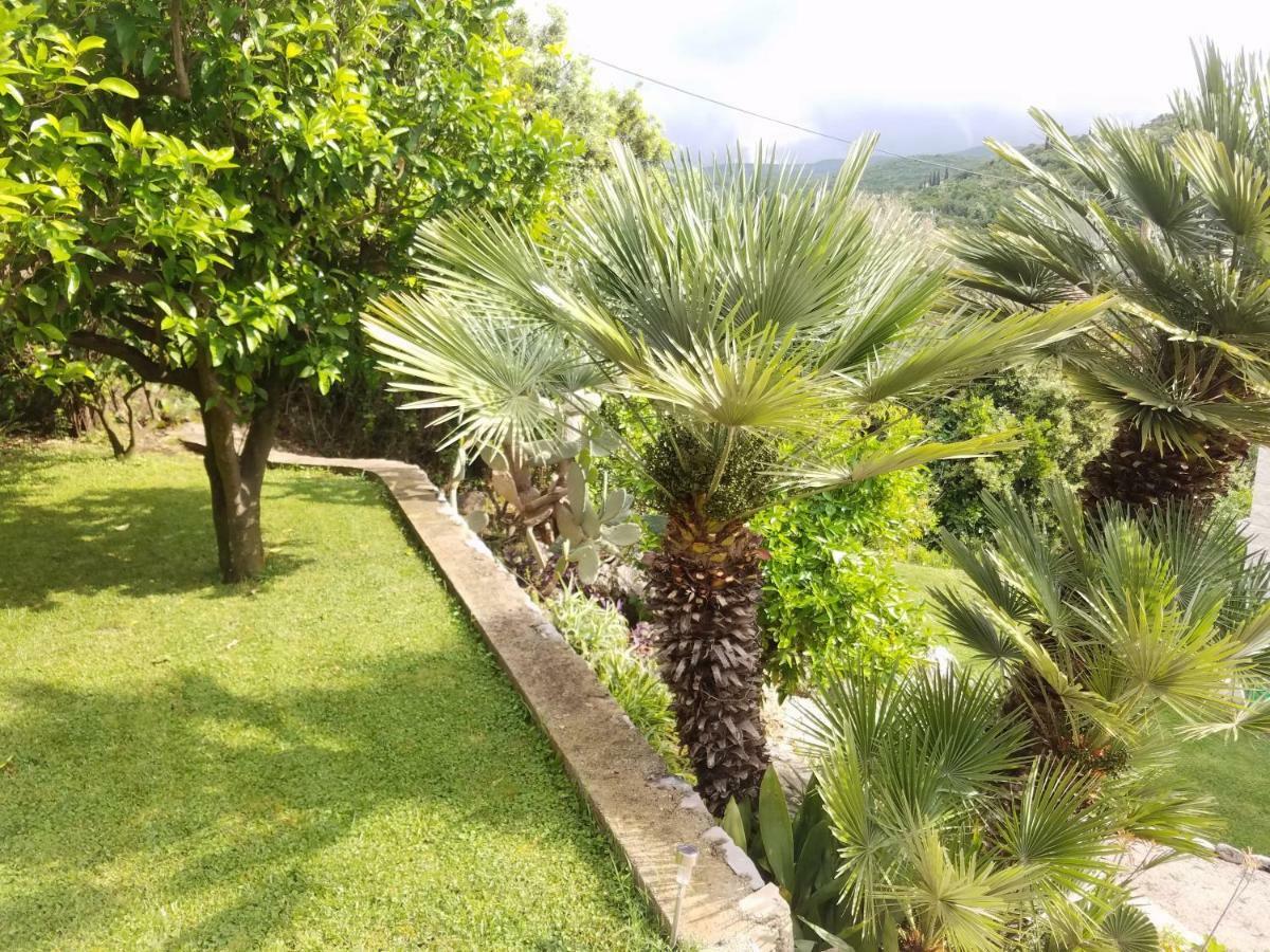 Marivo Guest House Molunat Exterior foto